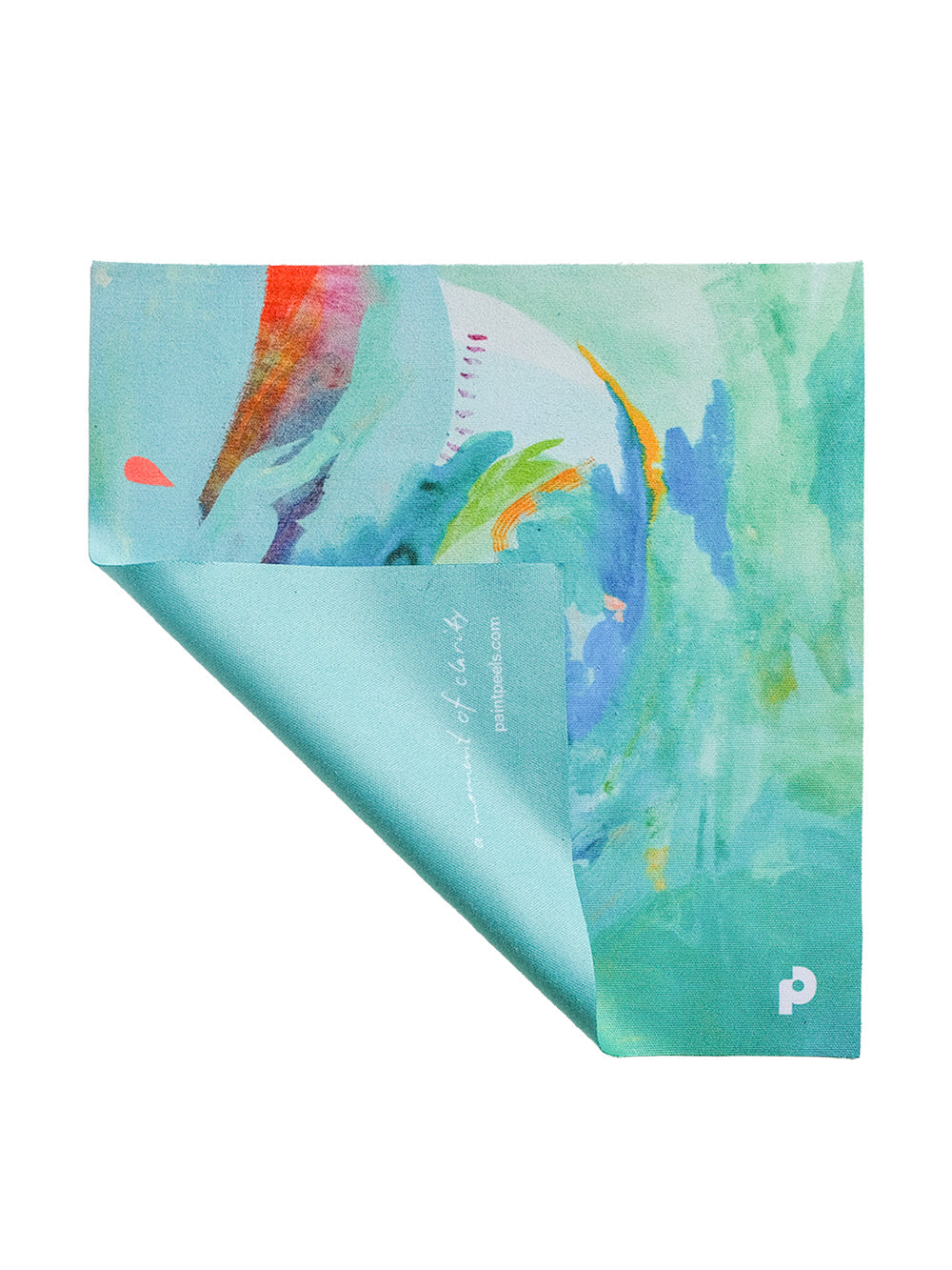 In a Glimpse Abstract Lens Cloth