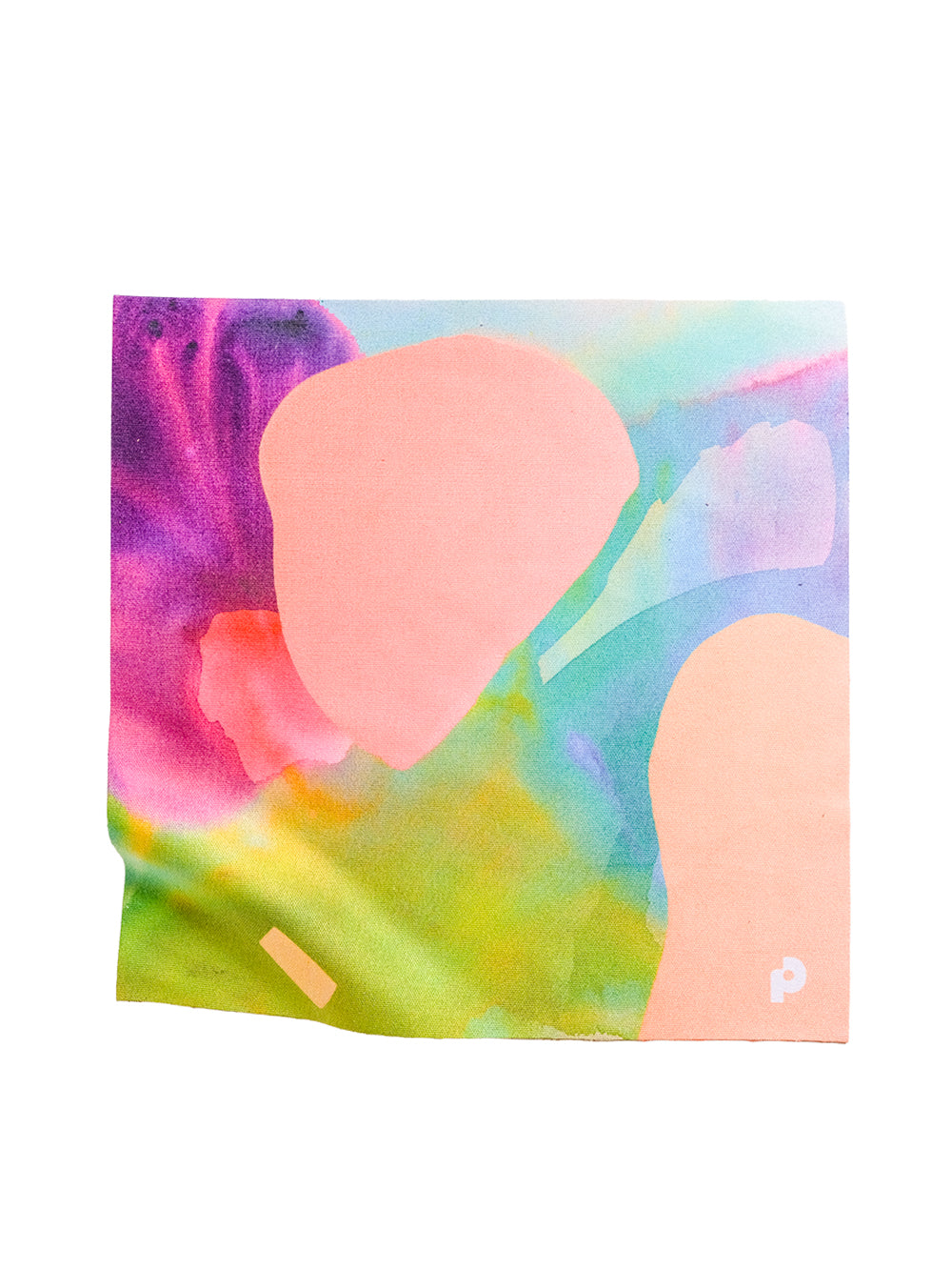 Through the Seasons Abstract Lens Cloth-3